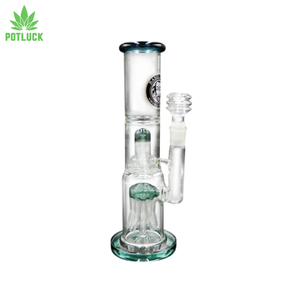 The Basil Bush Bong is a durable, expertly crafted glass piece featuring two percolators and a dual chamber design. with blue accents